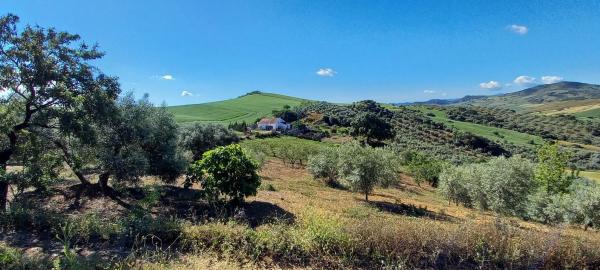 Terreno en Ma-3403, km 3