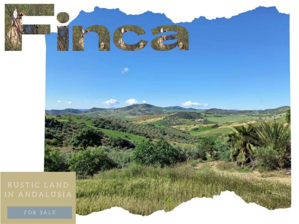 Terreno en Ma-3403, km 3