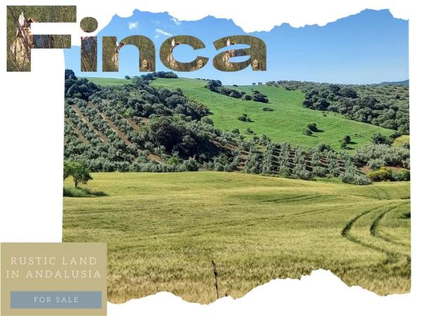 Terreno en Ma-3403, km 3