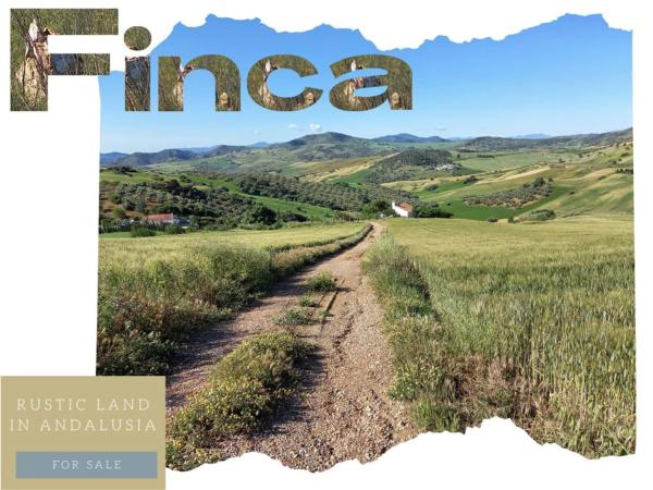 Terreno en Ma-3403, km 3