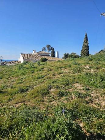 Terreno en calle Hiedra s/n