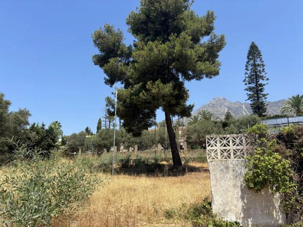 Terreno en calle Cartama