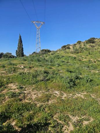 Terreno en calle Hiedra s/n