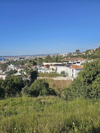 Terreno en calle Hiedra s/n