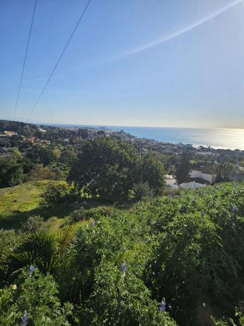 Terreno en calle Hiedra s/n