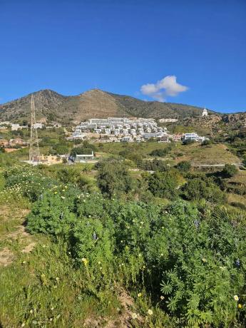 Terreno en calle Hiedra s/n