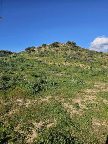 Terreno en calle Hiedra s/n