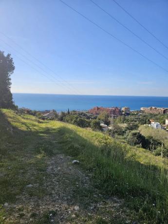 Terreno en calle Hiedra s/n