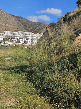 Terreno en calle Hiedra s/n