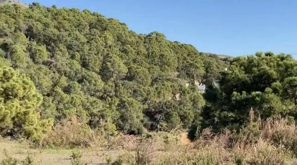 Terreno en Montemayor-Marbella Club