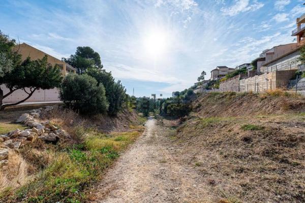 Terreno en calle los Madroños, 40