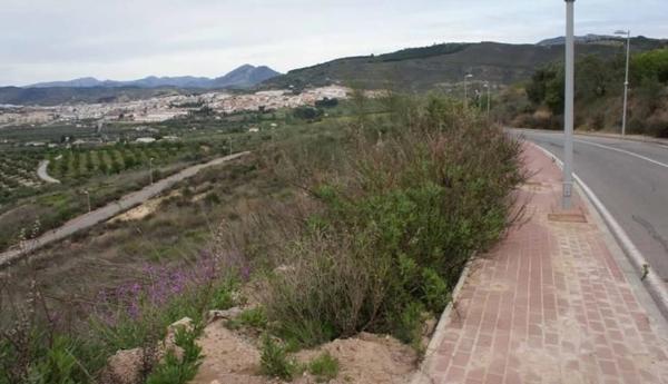 Terreno en Arrabal Urb Antequera Golf