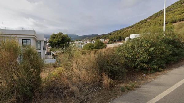 Terreno en calle Araucaria