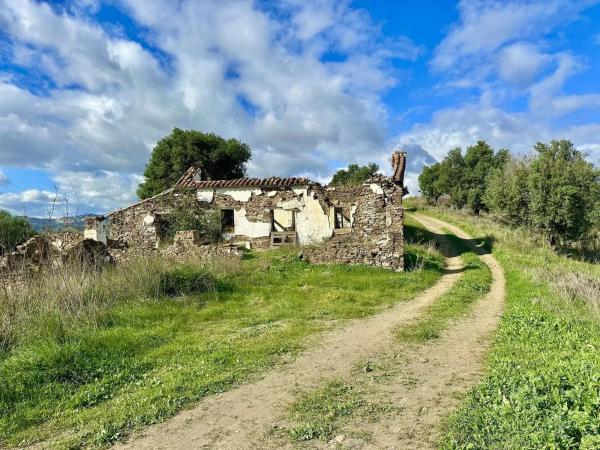 Terreno en Polígono Parcela 25 Chaparral