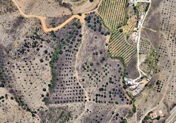 Terreno en Polígono Parcela 25 Chaparral