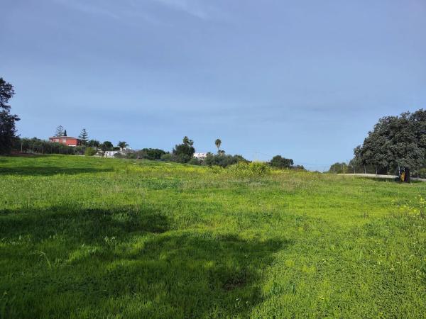Terreno en camino del Tambor