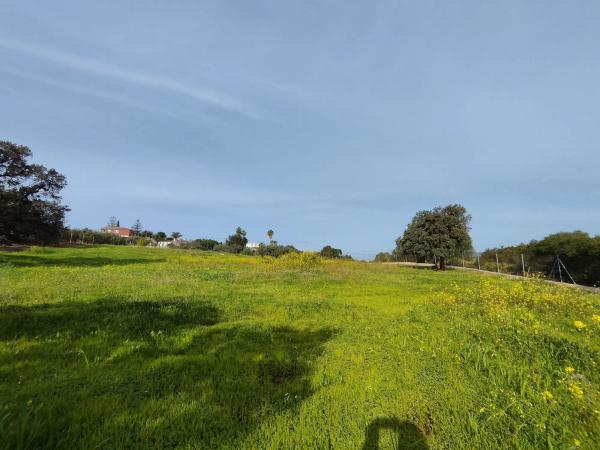 Terreno en camino del Tambor