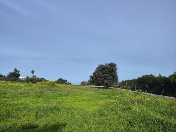 Terreno en camino del Tambor