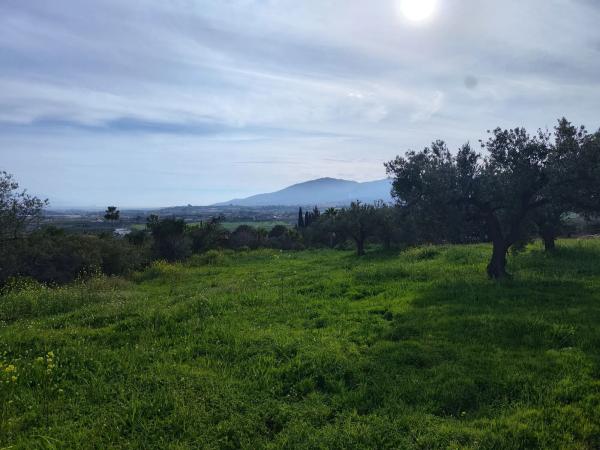 Terreno en camino del Tambor