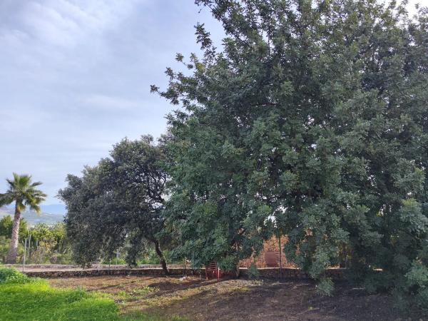 Terreno en camino del Tambor