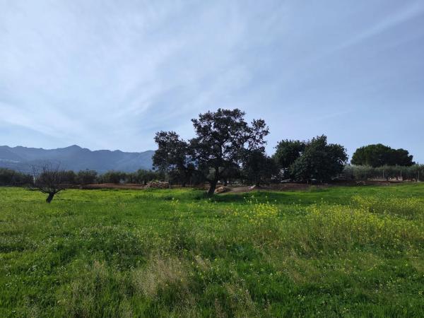 Terreno en camino del Tambor