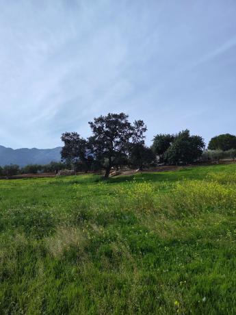 Terreno en camino del Tambor