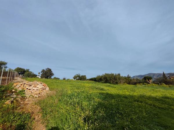 Terreno en camino del Tambor