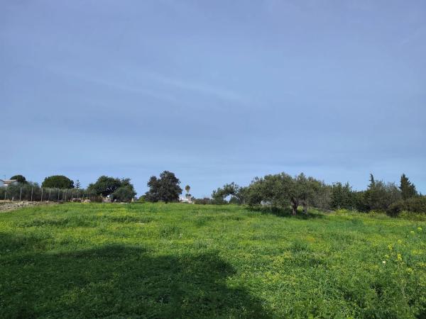 Terreno en camino del Tambor