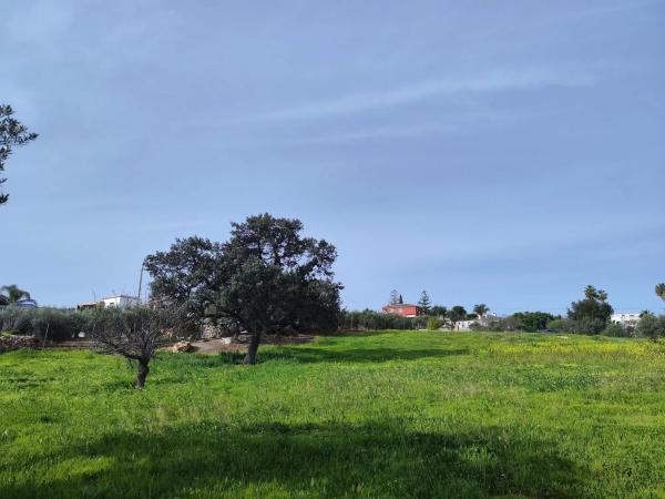 Terreno en camino del Tambor