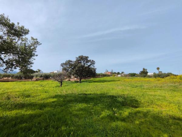 Terreno en camino del Tambor