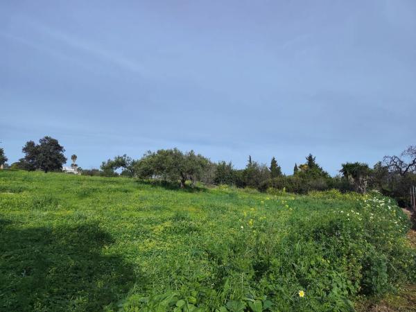 Terreno en camino del Tambor