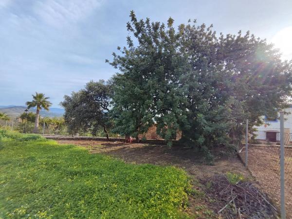 Terreno en camino del Tambor