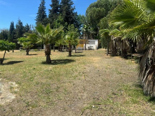 Terreno en carretera de Ronda