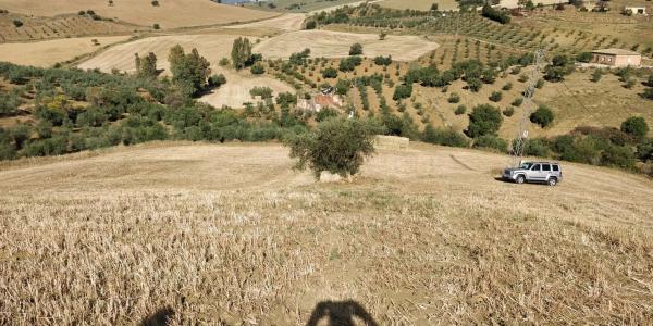 Terreno en Polígono 161, 212 Parcela