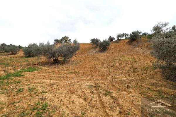 Terreno en Ardelejos - Cuesta de la Palma - Buenavista