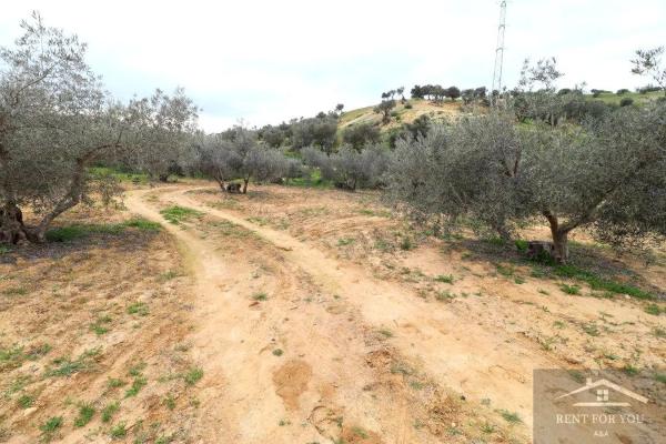 Terreno en Ardelejos - Cuesta de la Palma - Buenavista