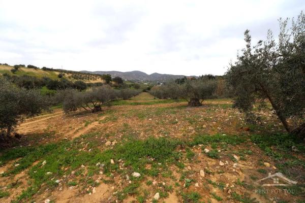Terreno en Ardelejos - Cuesta de la Palma - Buenavista