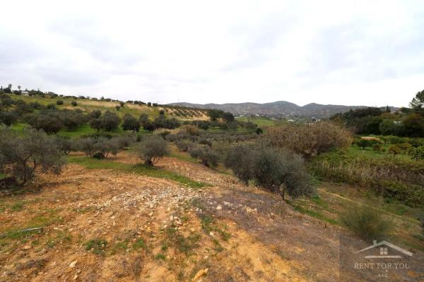 Terreno en Ardelejos - Cuesta de la Palma - Buenavista