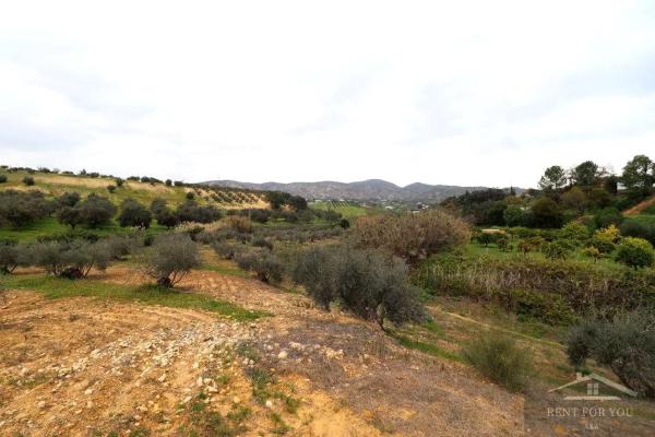 Terreno en Ardelejos - Cuesta de la Palma - Buenavista