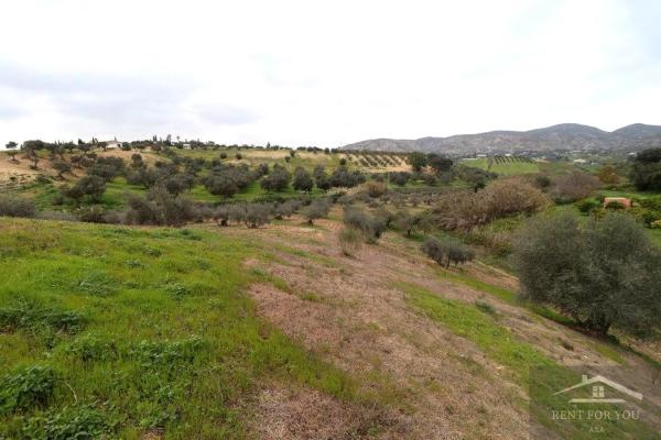 Terreno en Ardelejos - Cuesta de la Palma - Buenavista