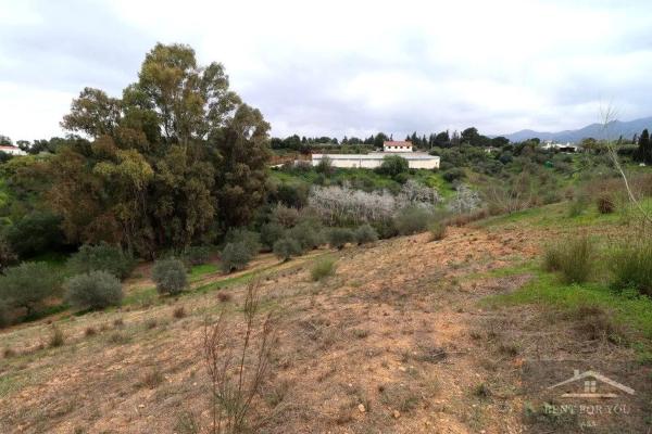 Terreno en Ardelejos - Cuesta de la Palma - Buenavista