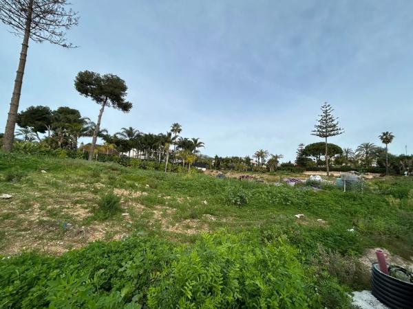 Terreno en calle Jabalí, 82