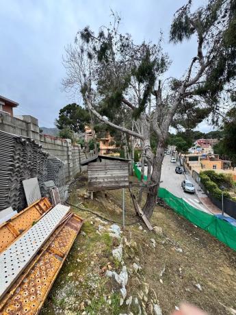 Terreno en alto del Pinar