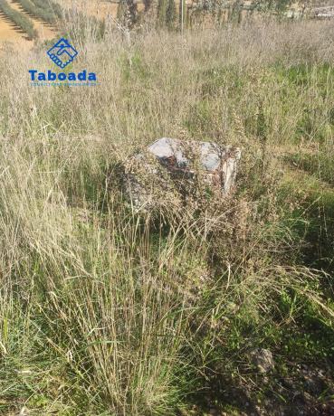 Terreno en Poligono 9