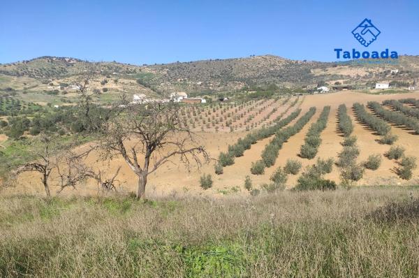 Terreno en Poligono 9