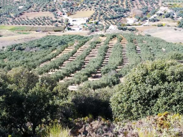 Terreno en aldea de la laguna s/n