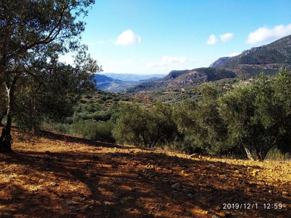 Terreno en aldea de la laguna s/n