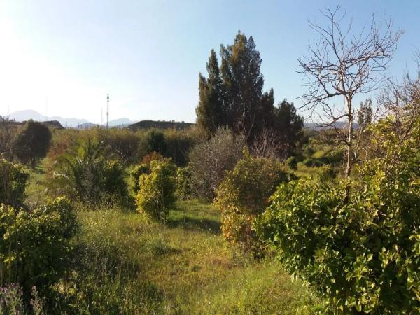 Terreno en camino Caserío las Castañetas