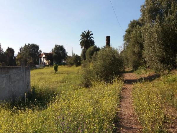Terreno en camino Caserío las Castañetas