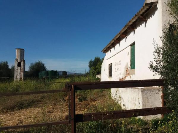 Terreno en camino Caserío las Castañetas